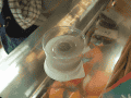 CRW_5862.gif