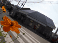 CRW_6058.gif