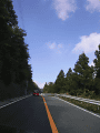 CRW_6211.gif