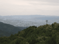 CRW_6306.gif