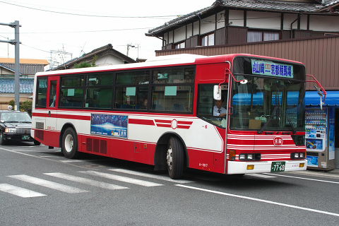 IMG_7935.jpg