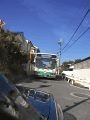 CRW_6336.gif