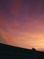 CRW_6472.gif