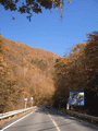 CRW_6875.gif