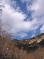 CRW_6885.gif