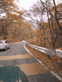 CRW_6901.gif