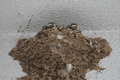IMG_1535.gif