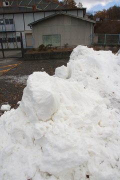 IMG_3989.jpg