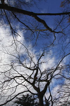 IMG_3999.jpg