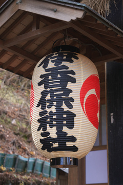 IMG_4048.jpg