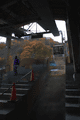 IMG_3900.gif