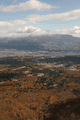 IMG_3961.gif