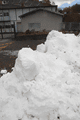 IMG_3989.gif