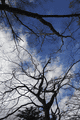 IMG_3999.gif