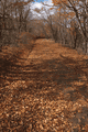 IMG_4016.gif