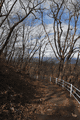 IMG_4023.gif