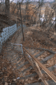 IMG_4029.gif