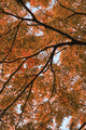 IMG_4066.gif