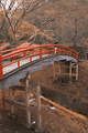 IMG_4083.gif