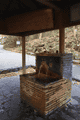 IMG_4110.gif