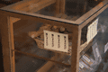 IMG_4177.gif