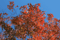 IMG_4180.gif