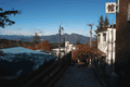 IMG_4232.gif