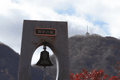 IMG_8064.gif