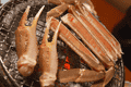 IMG_5250.gif