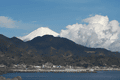 IMG_1717.gif