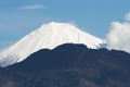 IMG_1723.gif