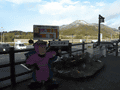 R0013050.gif
