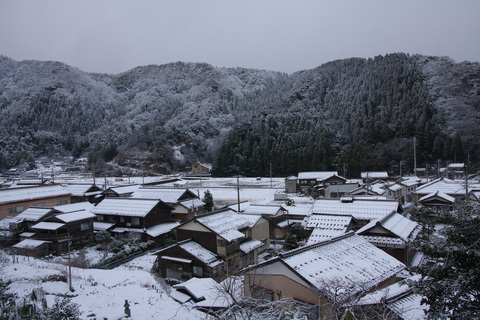 IMG_9688.jpg
