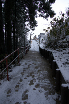 IMG_9694.jpg