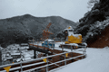 IMG_1728.gif