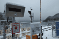 IMG_1729.gif