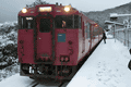 IMG_1733.gif