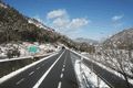 IMG_9610.gif