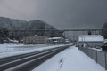 IMG_9667.gif