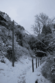 IMG_9690.gif