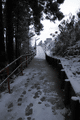 IMG_9694.gif