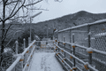 IMG_9695.gif