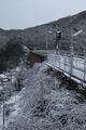 IMG_9696.gif