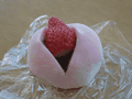 R0013117.gif