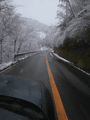 R0013147.gif