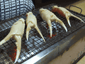 R0013177.gif