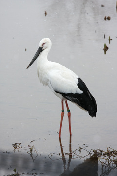 IMG_9876.jpg