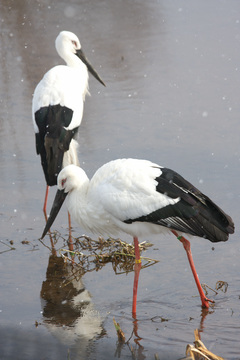 IMG_9894.jpg