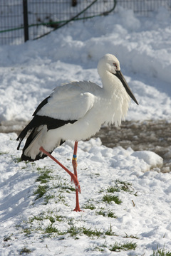 IMG_9952.jpg