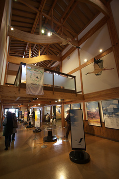 IMG_9987.jpg